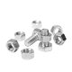 SS Fasteners